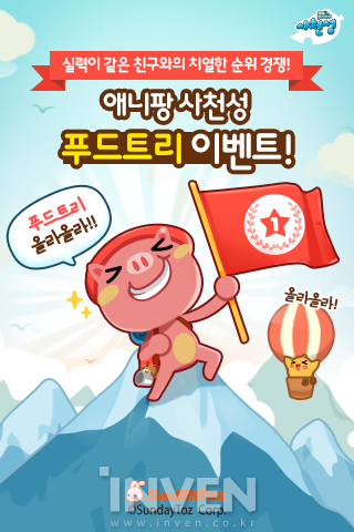 선데이트리 이미지