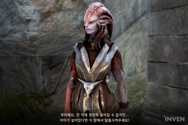 아르딜라 이미지