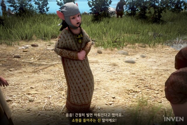 아르딜라 이미지