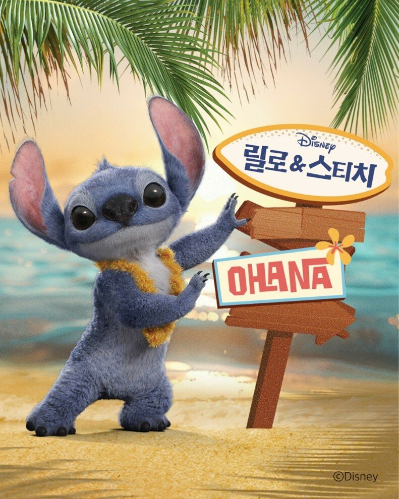 주식회사 제주베스트투어 이미지