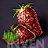 투명한 온실 속의 딸기 화분 아이콘