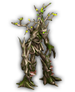 엔트
