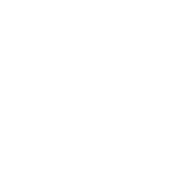 모터스 VIP