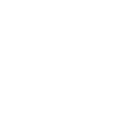 야행성 동물
