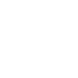 들불