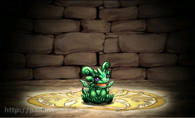 에메랄드드래곤